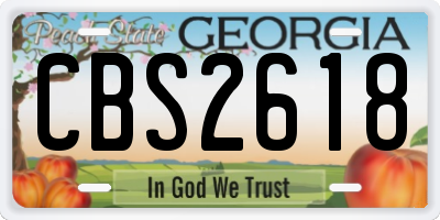 GA license plate CBS2618