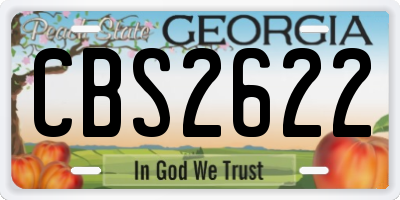 GA license plate CBS2622