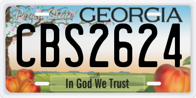 GA license plate CBS2624