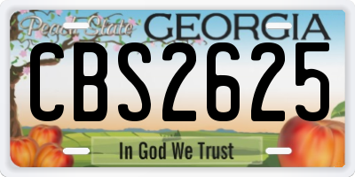 GA license plate CBS2625