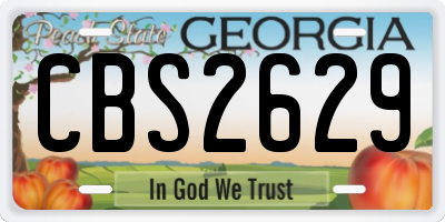 GA license plate CBS2629