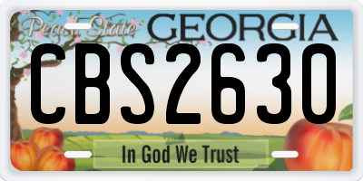 GA license plate CBS2630