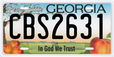 GA license plate CBS2631