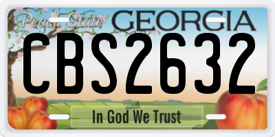 GA license plate CBS2632