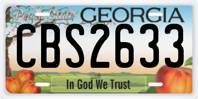 GA license plate CBS2633