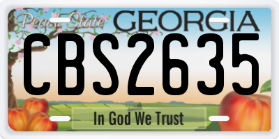 GA license plate CBS2635