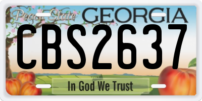 GA license plate CBS2637