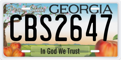 GA license plate CBS2647