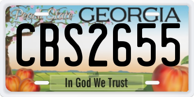GA license plate CBS2655