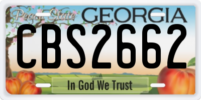 GA license plate CBS2662