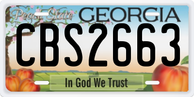GA license plate CBS2663