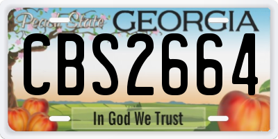 GA license plate CBS2664