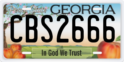 GA license plate CBS2666