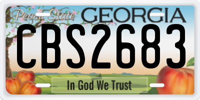 GA license plate CBS2683