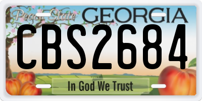 GA license plate CBS2684