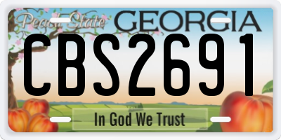 GA license plate CBS2691