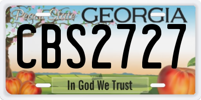 GA license plate CBS2727