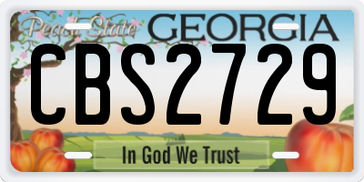 GA license plate CBS2729
