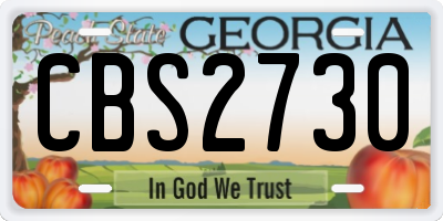 GA license plate CBS2730