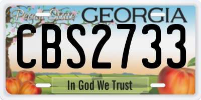 GA license plate CBS2733