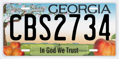 GA license plate CBS2734