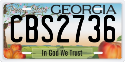 GA license plate CBS2736
