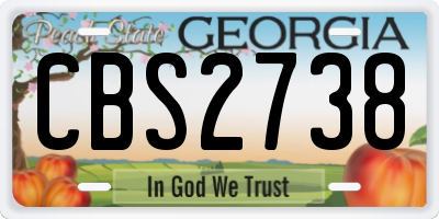 GA license plate CBS2738