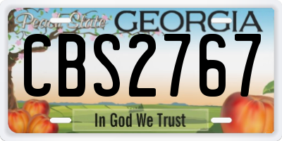 GA license plate CBS2767
