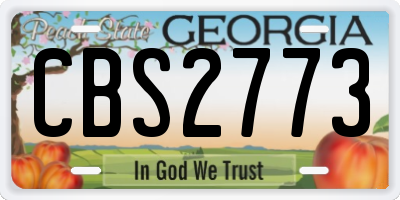 GA license plate CBS2773