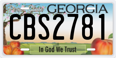GA license plate CBS2781