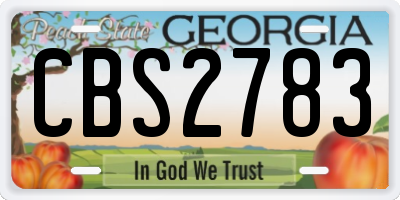 GA license plate CBS2783