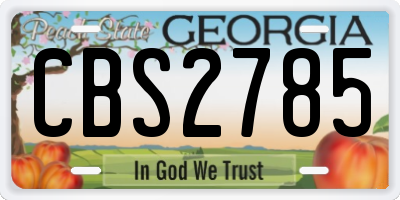 GA license plate CBS2785