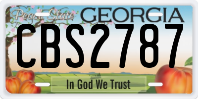 GA license plate CBS2787