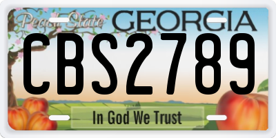 GA license plate CBS2789