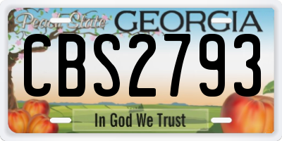 GA license plate CBS2793