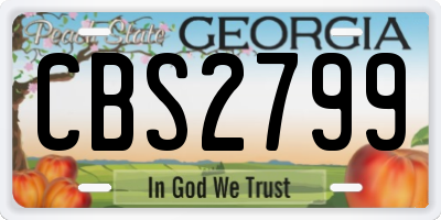 GA license plate CBS2799