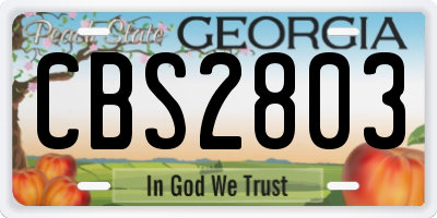 GA license plate CBS2803