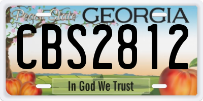 GA license plate CBS2812