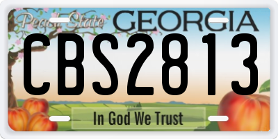 GA license plate CBS2813