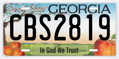 GA license plate CBS2819