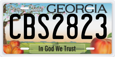 GA license plate CBS2823