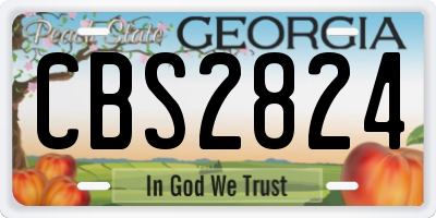 GA license plate CBS2824