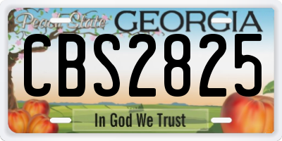 GA license plate CBS2825