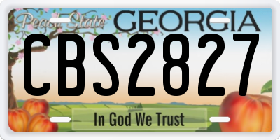 GA license plate CBS2827