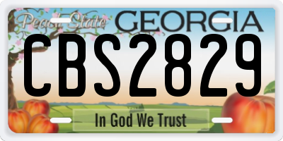 GA license plate CBS2829
