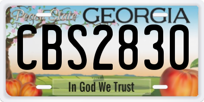 GA license plate CBS2830