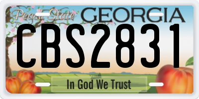GA license plate CBS2831