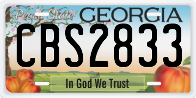 GA license plate CBS2833
