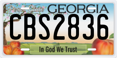 GA license plate CBS2836