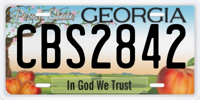 GA license plate CBS2842